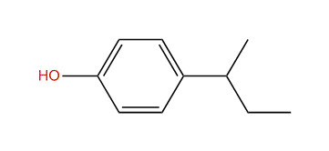 4-sec-Butylphenol