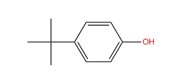 4-tert-Butylphenol