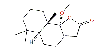 Pallescensolide