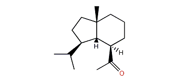 Paludone