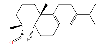 Palustral