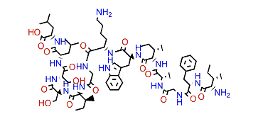 Pantinin-2