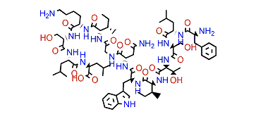 Pantinin-3