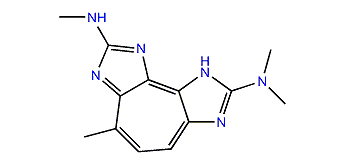 Paragracine