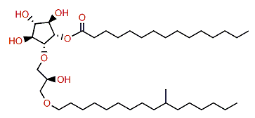 Pentadecanoylisocrasseride