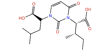 Petromyzonacil