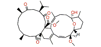 Petronigrione