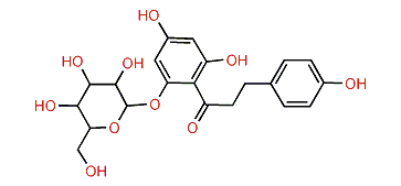 Phlorizin