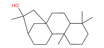 Phyllocladanol