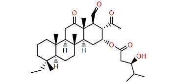 Phyllofoliaspongin