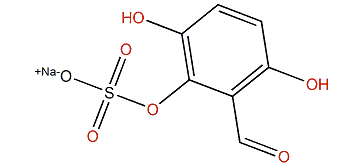 Polyclinal