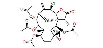 Praelolide