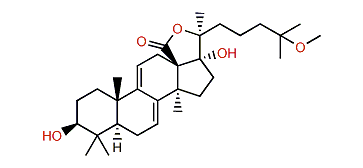 25-Methoxyholothurinogenin