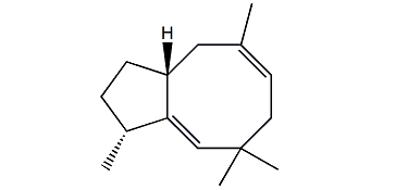 Precapnelladiene