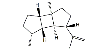 Prespatane