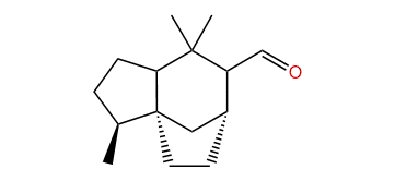 Prezizaan-15-al