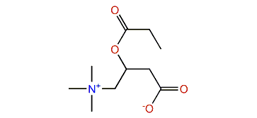 Propionylcarnitine