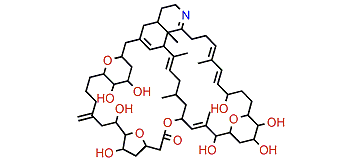 Prorocentrolide