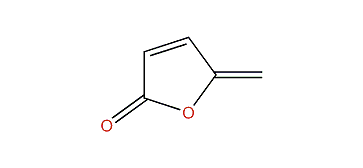 5-Methylene-2(5H)-furanone