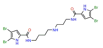 Pseudoceratidine