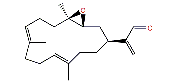 Pseudoplexaural