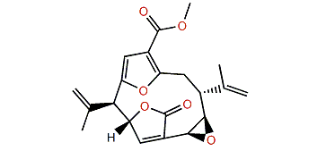 Pseudopterolide