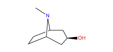 Pseudotropine