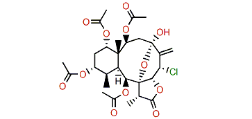 Pteroidine