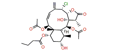 Ptilosarcol