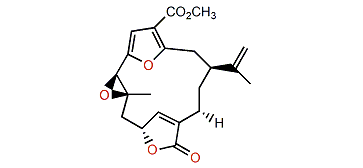 Pukalide