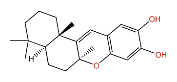 Puupehenol