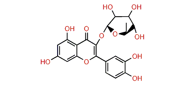 Quercitrin