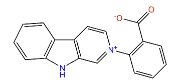 Reticulatate