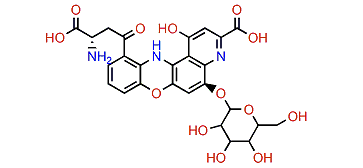 Rhodommatin