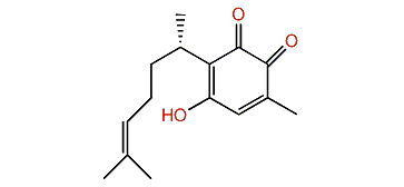 Rigidone