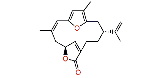 Rubifolide