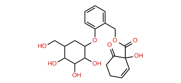 Salicortin