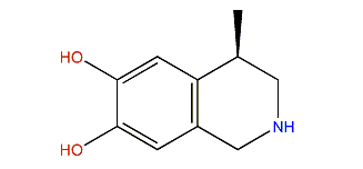 Salsolinol