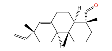 Sandaracopimaral