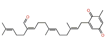 Sargaquinal