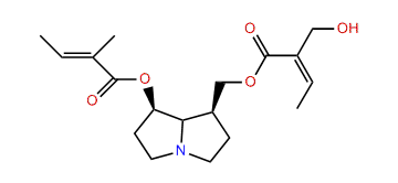 Sarranicine