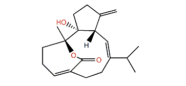 Sarsolilide