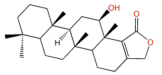 Scalarolide