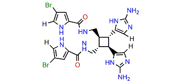 Sceptrine