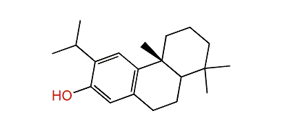 Sempervirol