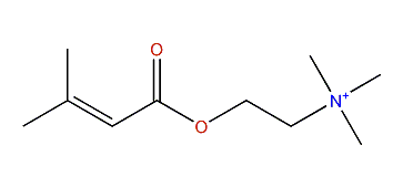 Senecioylcholine