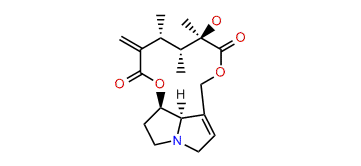 Senecivernine