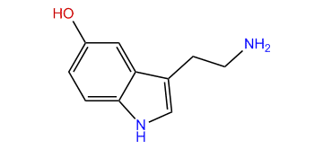 5-Hydroxytryptamine