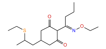 Sethoxydim