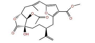 Sethukarailide